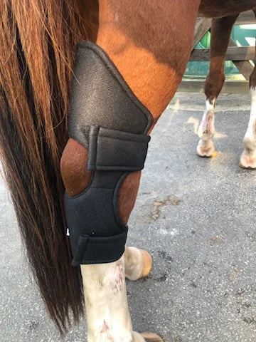 Attelle anti-douleur - EasyDaDa Animal