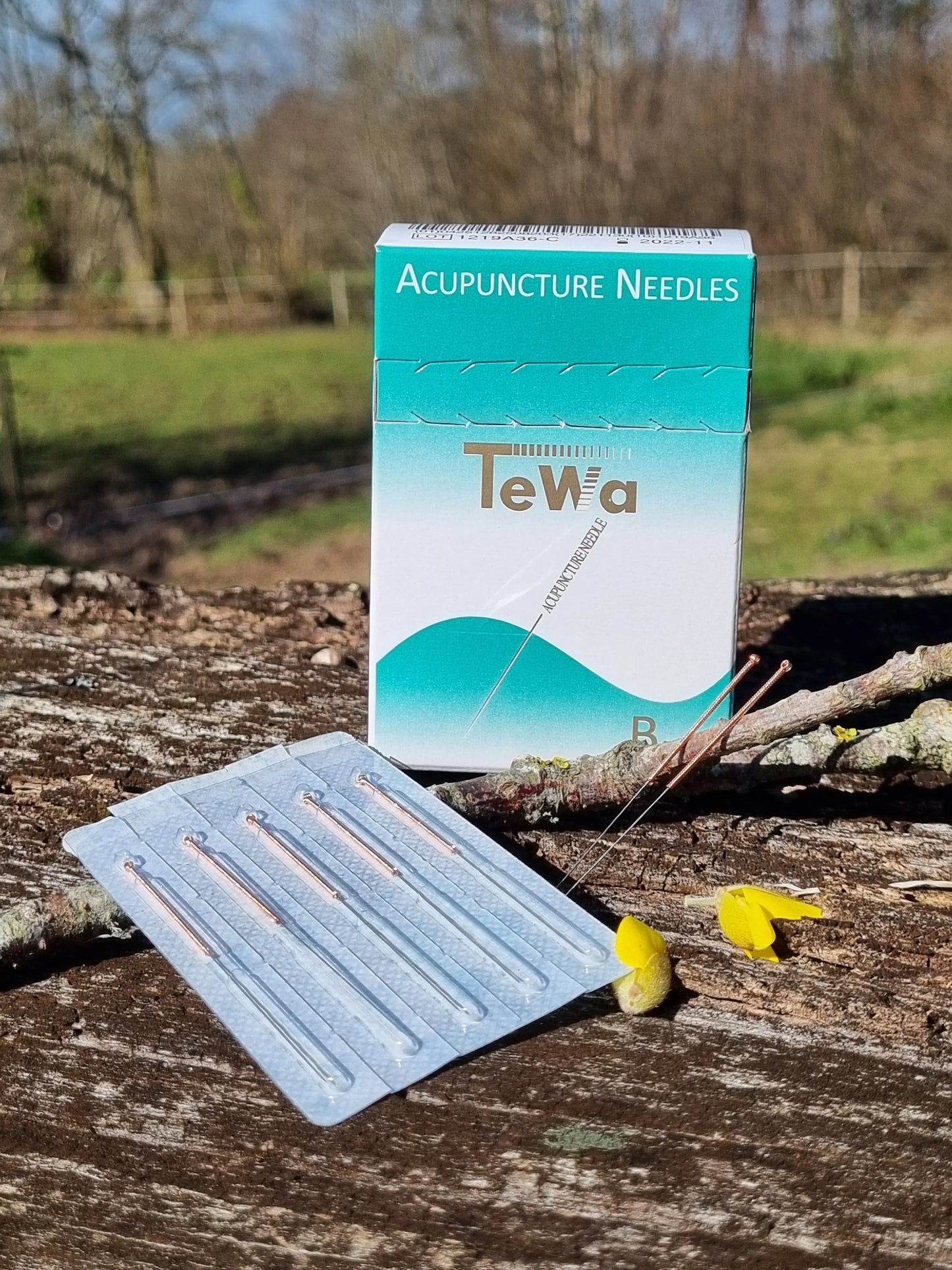 aiguille acupuncture tewa bienetre
