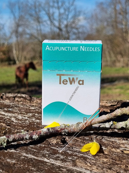 aiguille acupuncture tewa bienetre